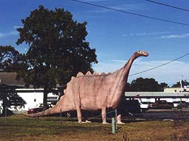 plain dino