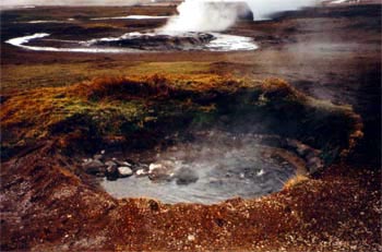 small geysir!